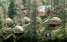 Alpin D'Hôme Hôtel&Spa